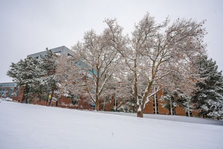 Picture for category Admissions