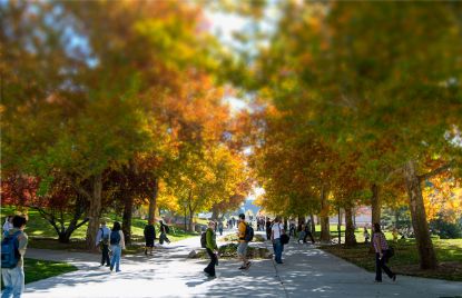 Picture of U of U School of Dentistry Application Fee