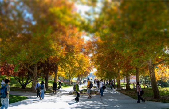Picture of U of U School of Dentistry Application Fee
